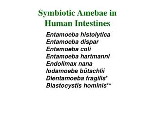 Symbiotic Amebae in Human Intestines