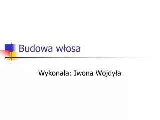 budowa w osa