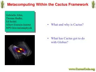 Metacomputing Within the Cactus Framework