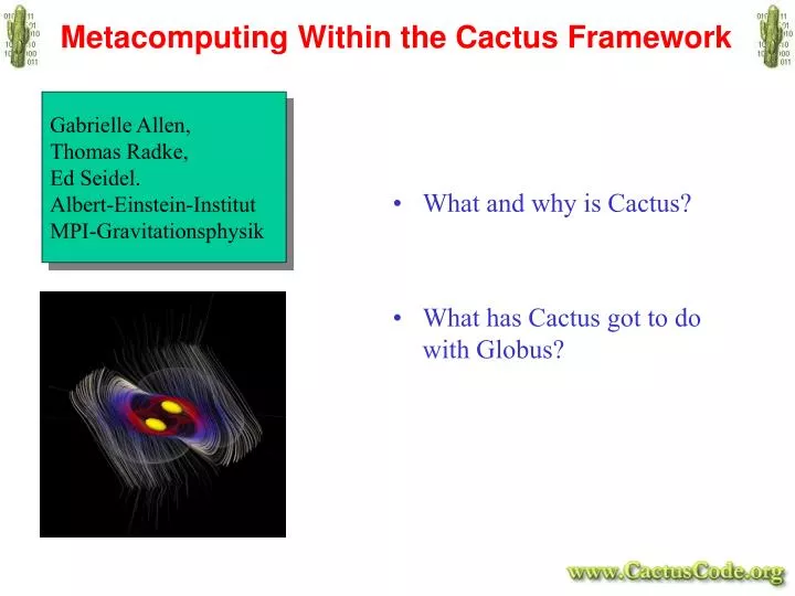 metacomputing within the cactus framework