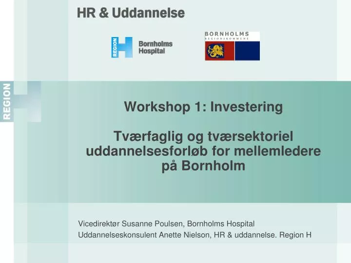 workshop 1 investering tv rfaglig og tv rsektoriel uddannelsesforl b for mellemledere p bornholm