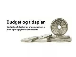 budget og tidsplan