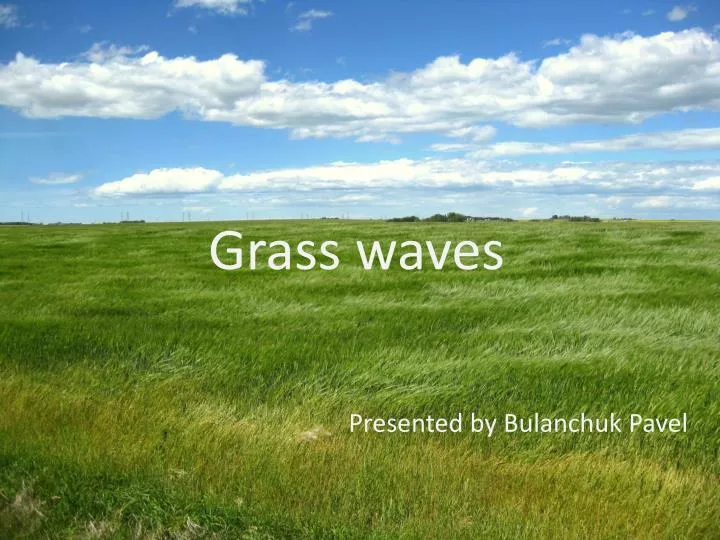 grass waves