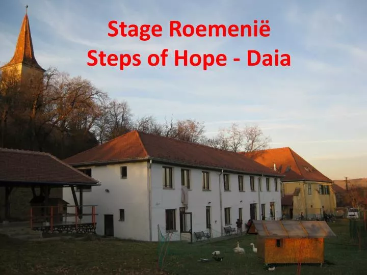 stage roemeni steps of hope daia