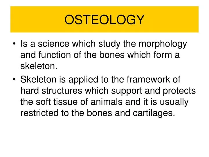 osteology
