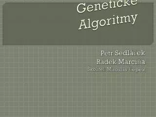 genetick algoritmy