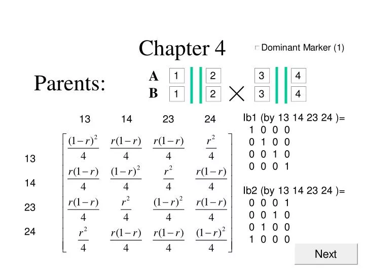 chapter 4