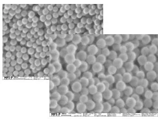 microscopyu/sitemap.html