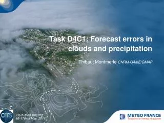 Task D4C1: Forecast errors in clouds and precipitation Thibaut Montmerle CNRM-GAME/GMAP
