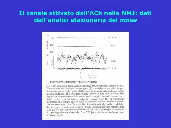 il canale attivato dall ach nella nmj dati dall analisi stazionaria del noise