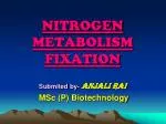 NITROGEN METABOLISM FIXATION - slide 1