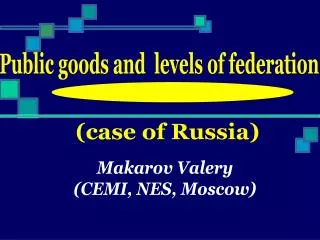 Public goods and levels of federation