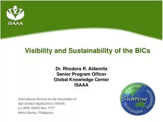 Visibility and Sustainability of the BICs