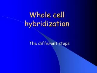 Whole cell hybridization