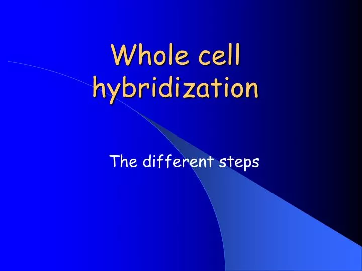 whole cell hybridization