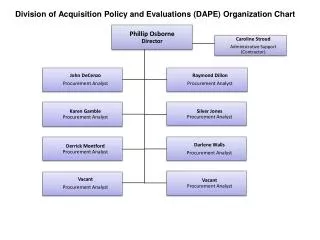 Division of Acquisition Policy and Evaluations (DAPE) Organization Chart