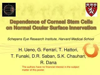 Dependence of Corneal Stem Cells on Normal Ocular Surface Innervation