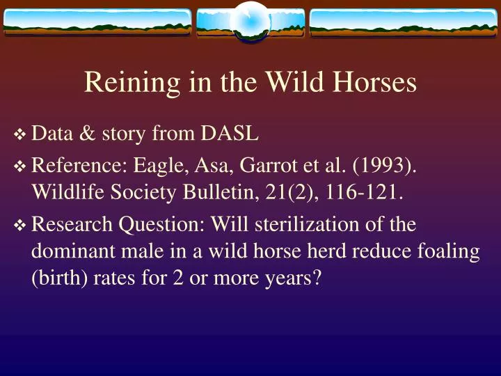 reining in the wild horses