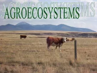AGROECOSYSTEMS