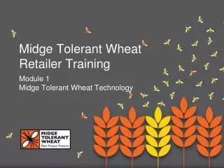 Midge Tolerant Wheat Retailer Training