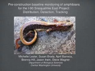 Pre-construction baseline monitoring of amphibians for the I-90 Snoqualmie East Project: