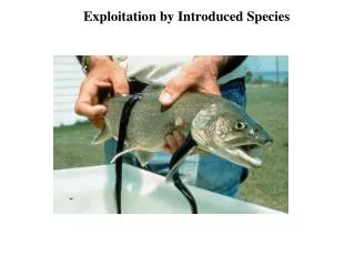 Exploitation by Introduced Species