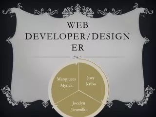 Web Developer/Designer