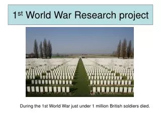 1 st World War Research project