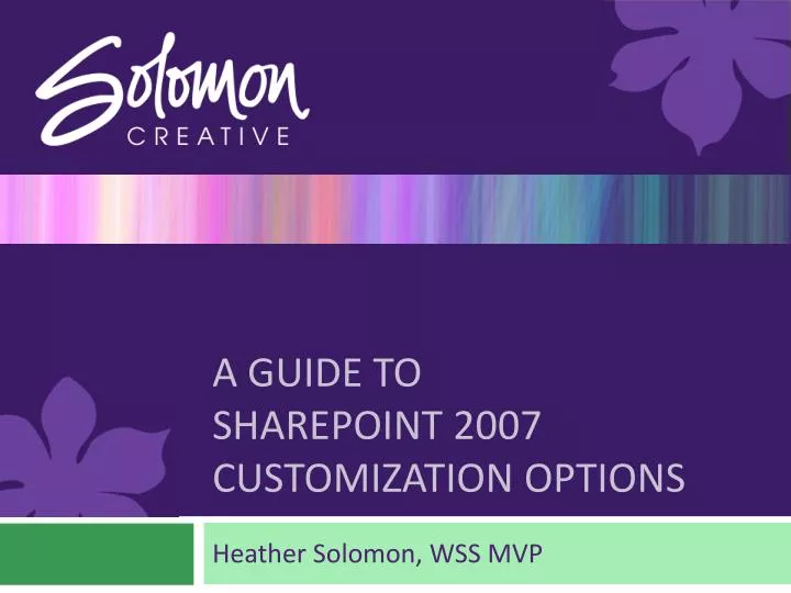 a guide to sharepoint 2007 customization options
