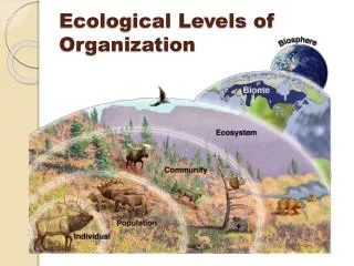 Ecological Levels of Organization