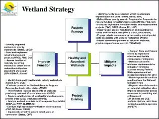 Identify priority watersheds in which to accelerate implementation in 2008 (States, USGS, EPA)