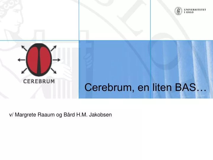 cerebrum en liten bas