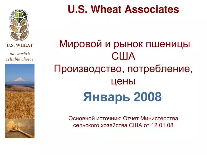 u s wheat associates