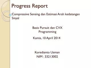 Progress Report