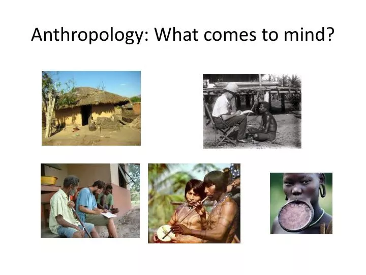 anthropology what comes to mind