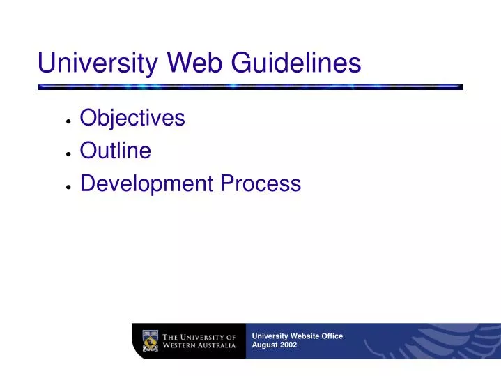 university web guidelines
