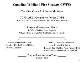 Canadian Wildland Fire Strategy CWFS)
