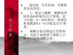 犬 立 耳 术 - slide 1