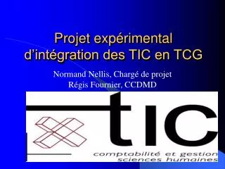 projet exp rimental d int gration des tic en tcg