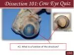 Click - slide 1
