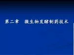 第二章 微生物发酵制药技术 - slide 1
