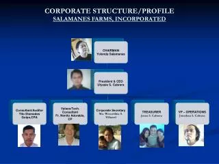 CORPORATE STRUCTURE/PROFILE SALAMANES FARMS, INCORPORATED