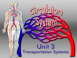 The CIRCULATORY System