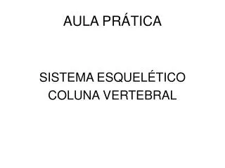 aula pr tica