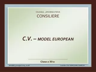 colegiul ion mincu deva