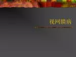 视网膜病 - slide 1