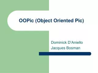 OOPic (Object Oriented Pic)