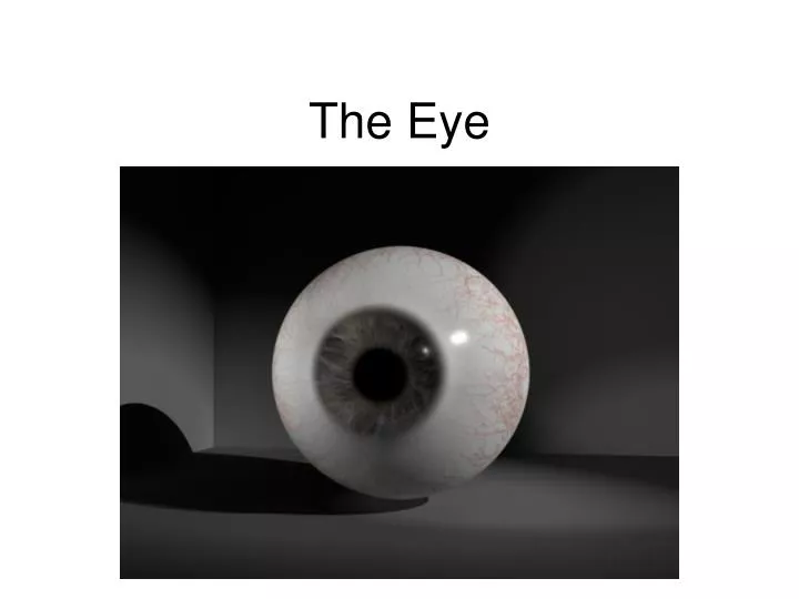 the eye