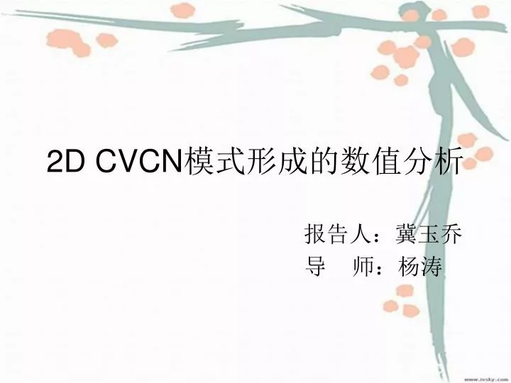 2d cvcn