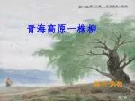 陈芳 执教 - slide 1